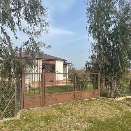Apartment Comfort In Ureki Zewnętrze zdjęcie